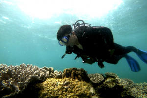 Effort to regenerate coral reefs