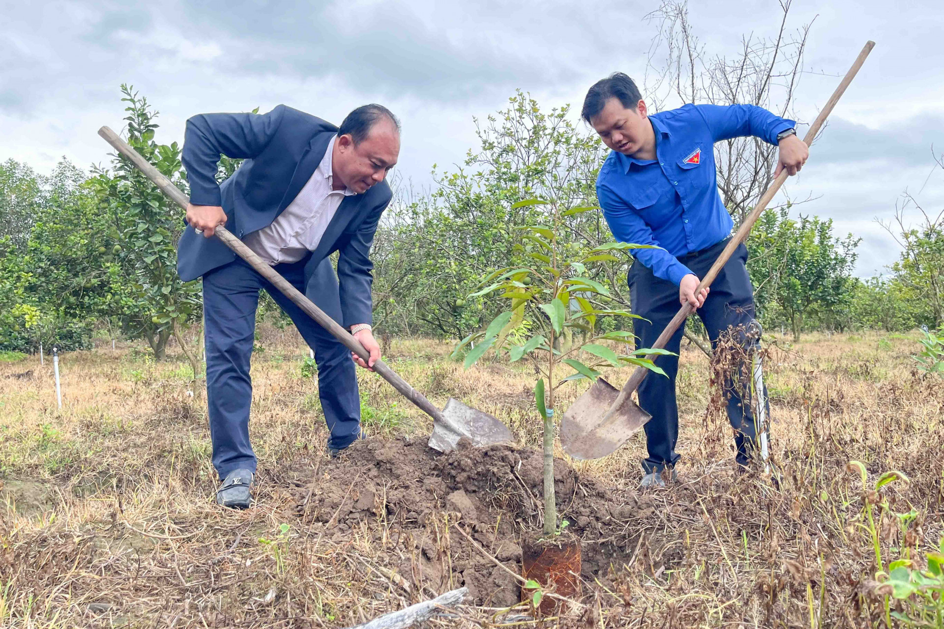 Lãnh đạo Tỉnh đoàn và Hội Doanh nhân trẻ tỉnh trồng cây giống sầu riêng tại vườn cây của thanh niên khởi nghiệp xã Khánh Đông