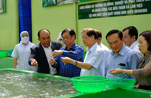 Bộ trưởng Lê Minh Hoan cùng Chủ tịch UBND tỉnh Khánh Hòa tham quan cơ sở sản xuất của Công ty  Cổ phần Rong biển D & T Khánh Hòa