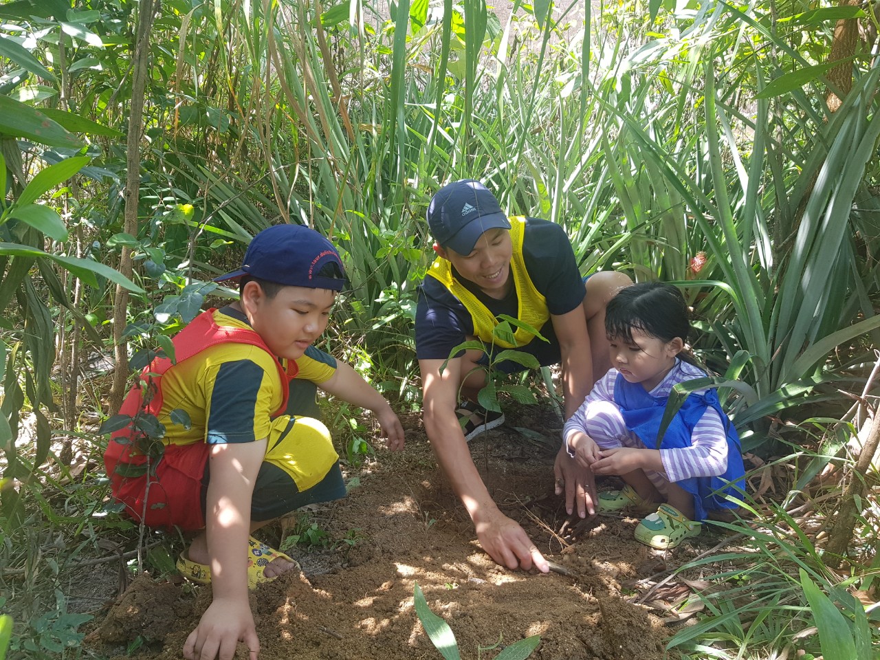 Cùng nhau trồng cây