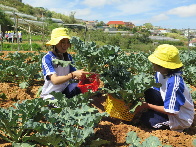 Với nhiều trẻ tại Làng SOS Nha Trang các hoạt động sản xuất nông nghiệp vẫn là những điều rất mới mẻ, thu hút các em