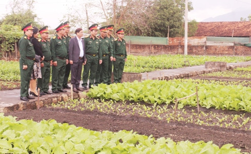 ...và khu vực tăng gia sản xuất của bộ đội.