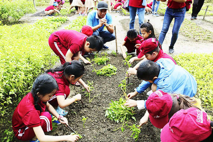 Học sinh Trường iSchool Nha Trang trong tiết học trải nghiệm trồng cây.