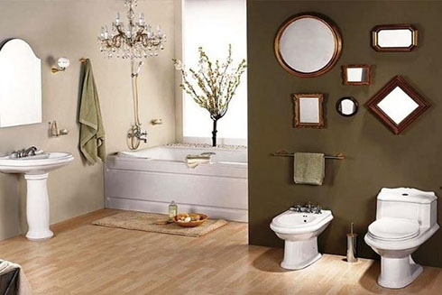 8 cách ngăn rắn, chuột, rết, nhện, thằn lằn xuất hiện