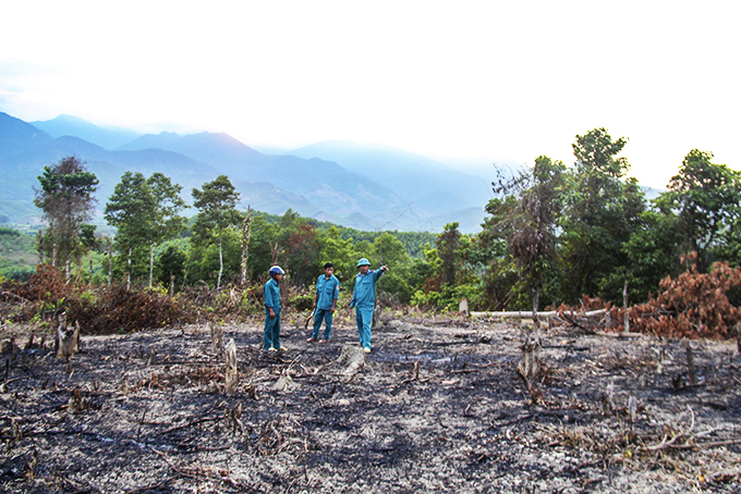Chủ động phòng, chống cháy rừng