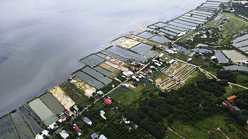 Góp ý về Dự thảo Luật Đất đai (sửa đổi):  Nhà báo Đoàn Minh Long - Chủ tịch Hội Nhà báo tỉnh: Cần bổ sung quy định về căn cứ xác định giá đất