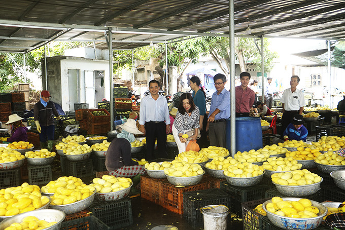Đoàn của UBMTTQ Việt Nam tỉnh giám sát tại một doanh nghiệp chế biến xoài sấy xã Cam Hải Tây, huyện Cam Lâm.
