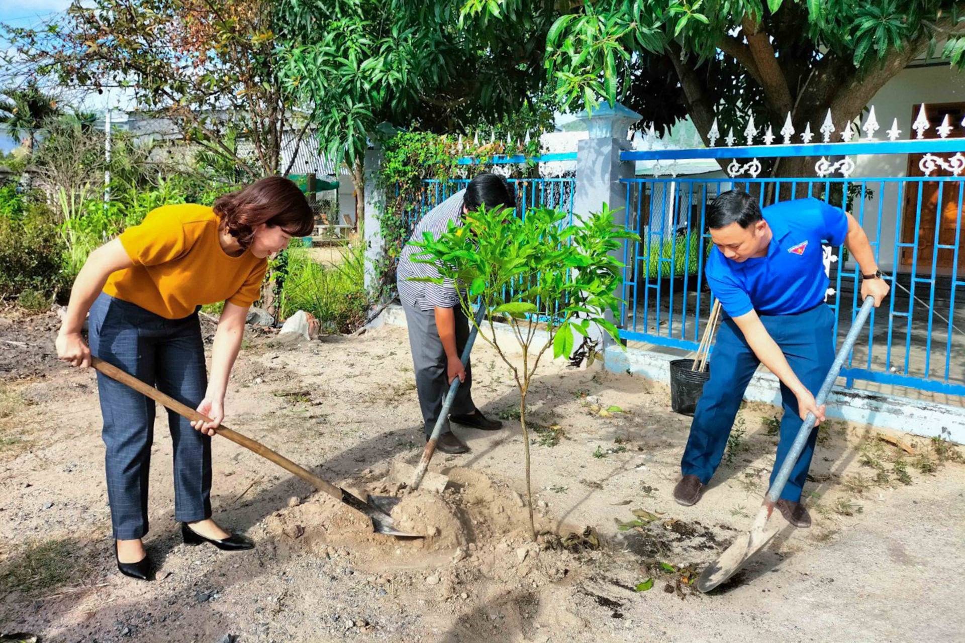 Huyện đoàn Cam Lâm trồng cây dọc tuyến đường liên thôn xã Cam An Nam