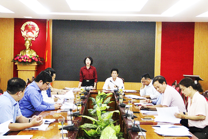 Thẩm tra 2 nội dung UBND tỉnh sẽ trình Kỳ họp thứ 9, HĐND tỉnh khóa VII