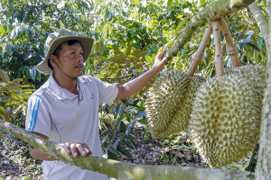 Định hình nông sản đặc hữu