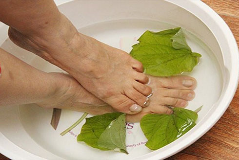Ngâm chân, tay với lá lốt thường xuyên giúp giảm tình trạng tiết ra nhiều mồ hôi ở tay và chân (Ảnh: Internet)
