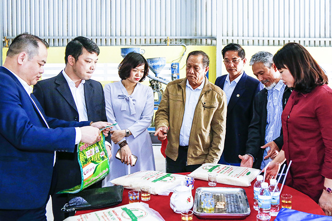 Đại diện Hợp tác xã Nông nghiệp 1 Ninh Quang (thứ 4 từ phải qua) giới thiệu về sản phẩm gạo Ngọc Quang. Ảnh: C.Định