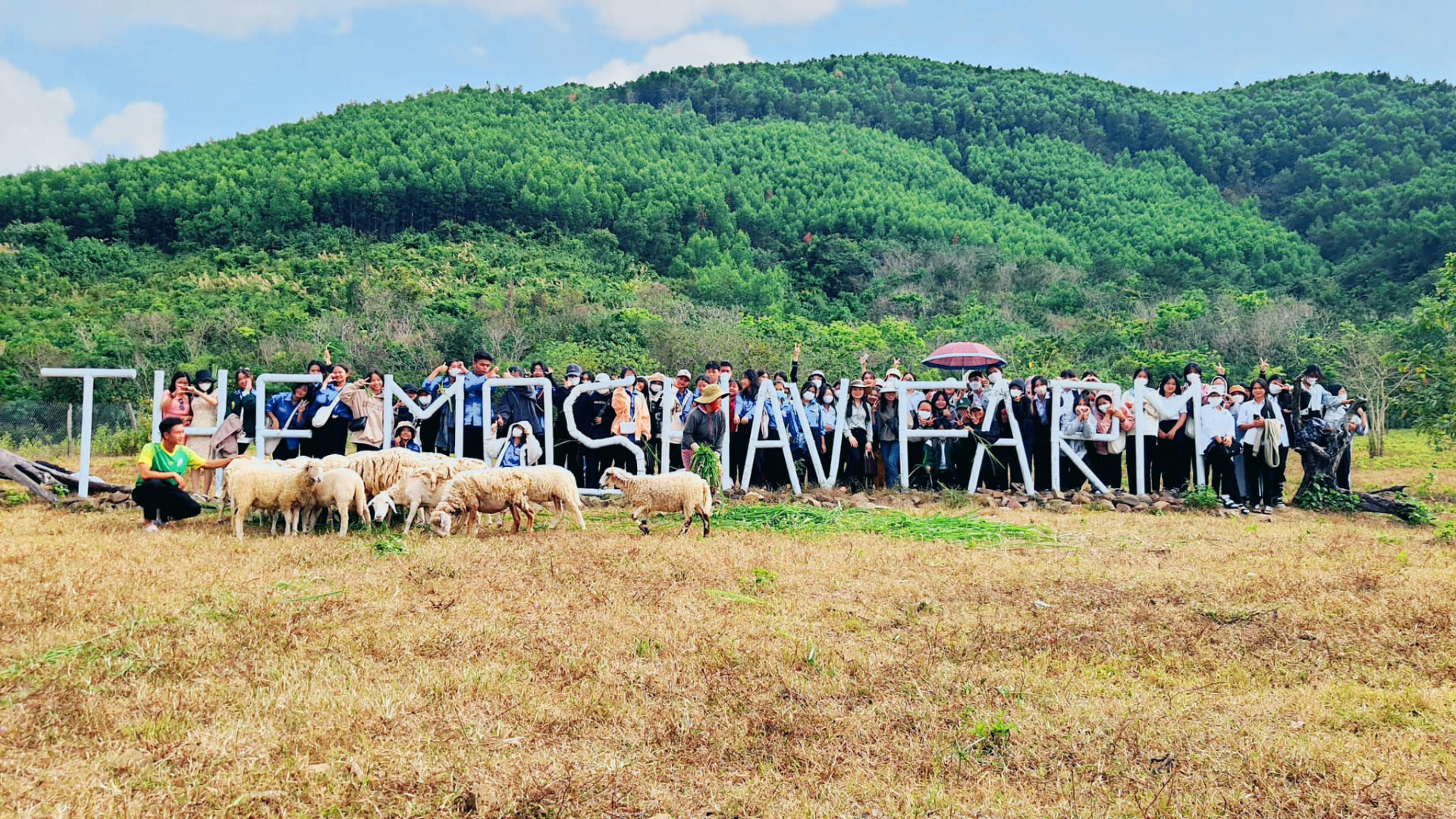 Đoàn học sinh trên địa bàn thị xã Ninh Hòa đến tham quan trang trại và đàn cừu.